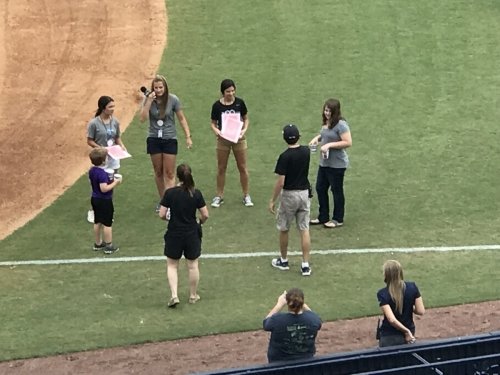 ACE Family Day - Tampa Tarpons Baseball GameApril 21, 2018